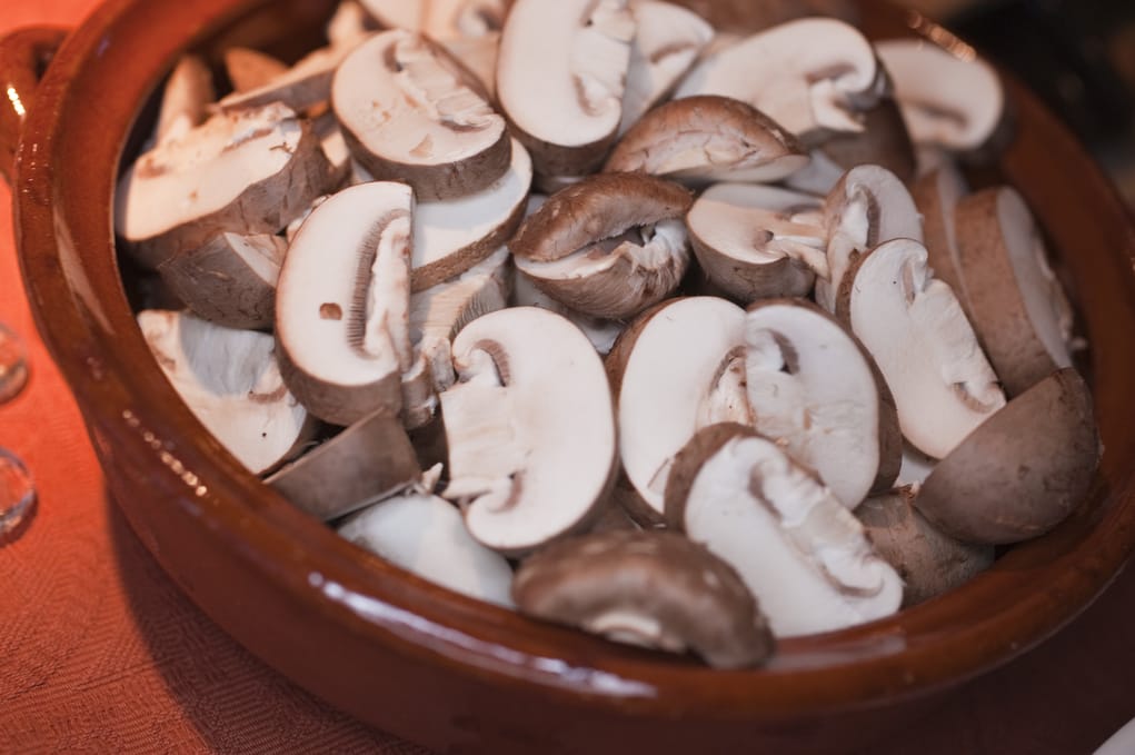mushroom contain vitamin D2 
