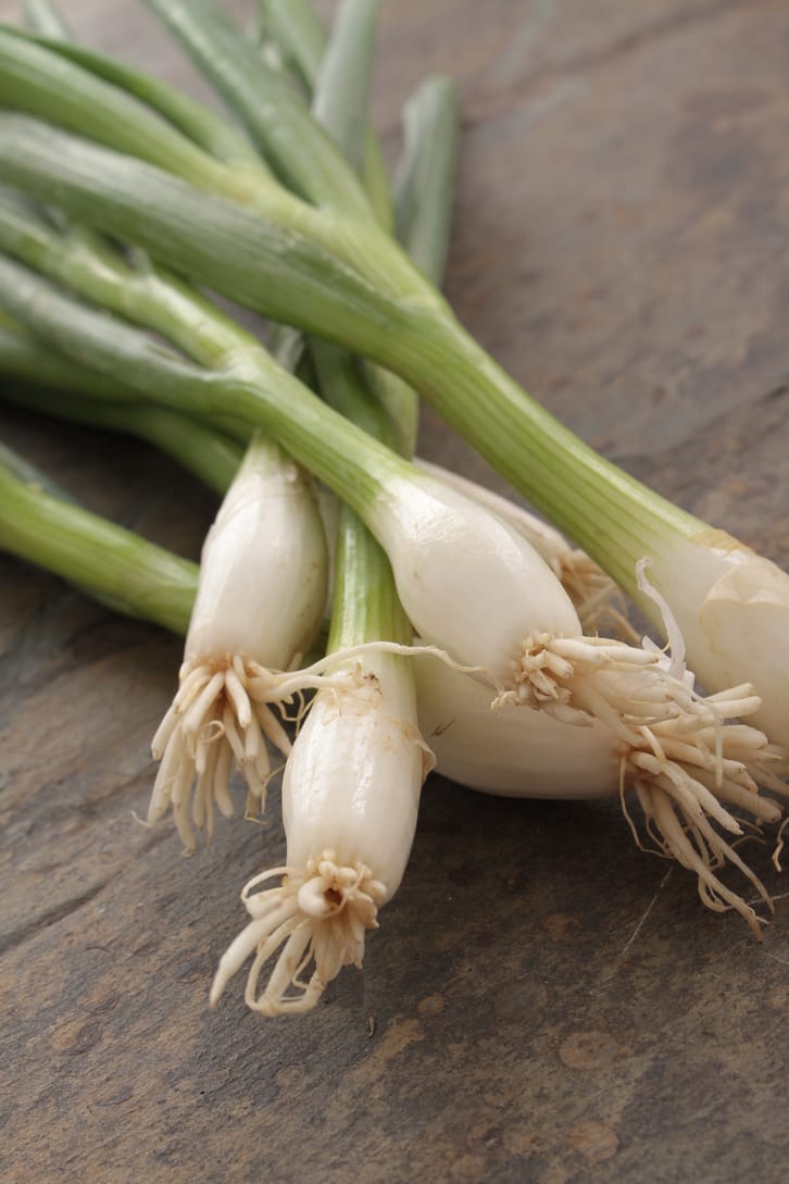 spring onions contain sulfur for good skin