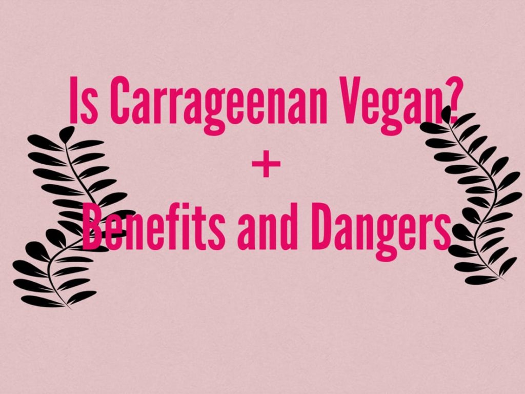 Almond Milk Without Carrageenan and Guar Gum CR Vitality