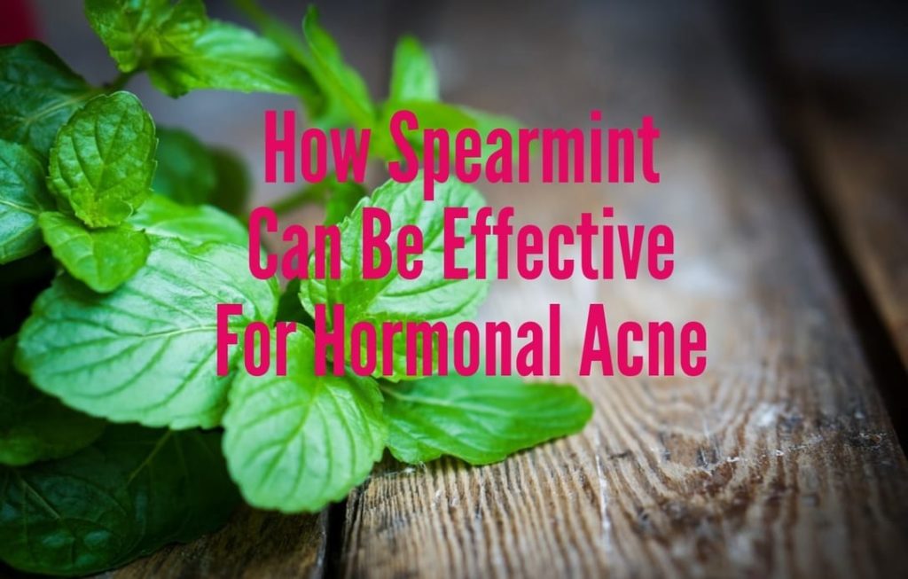 How Many Cups of Chamomile Tea for Anxiety? CR Vitality